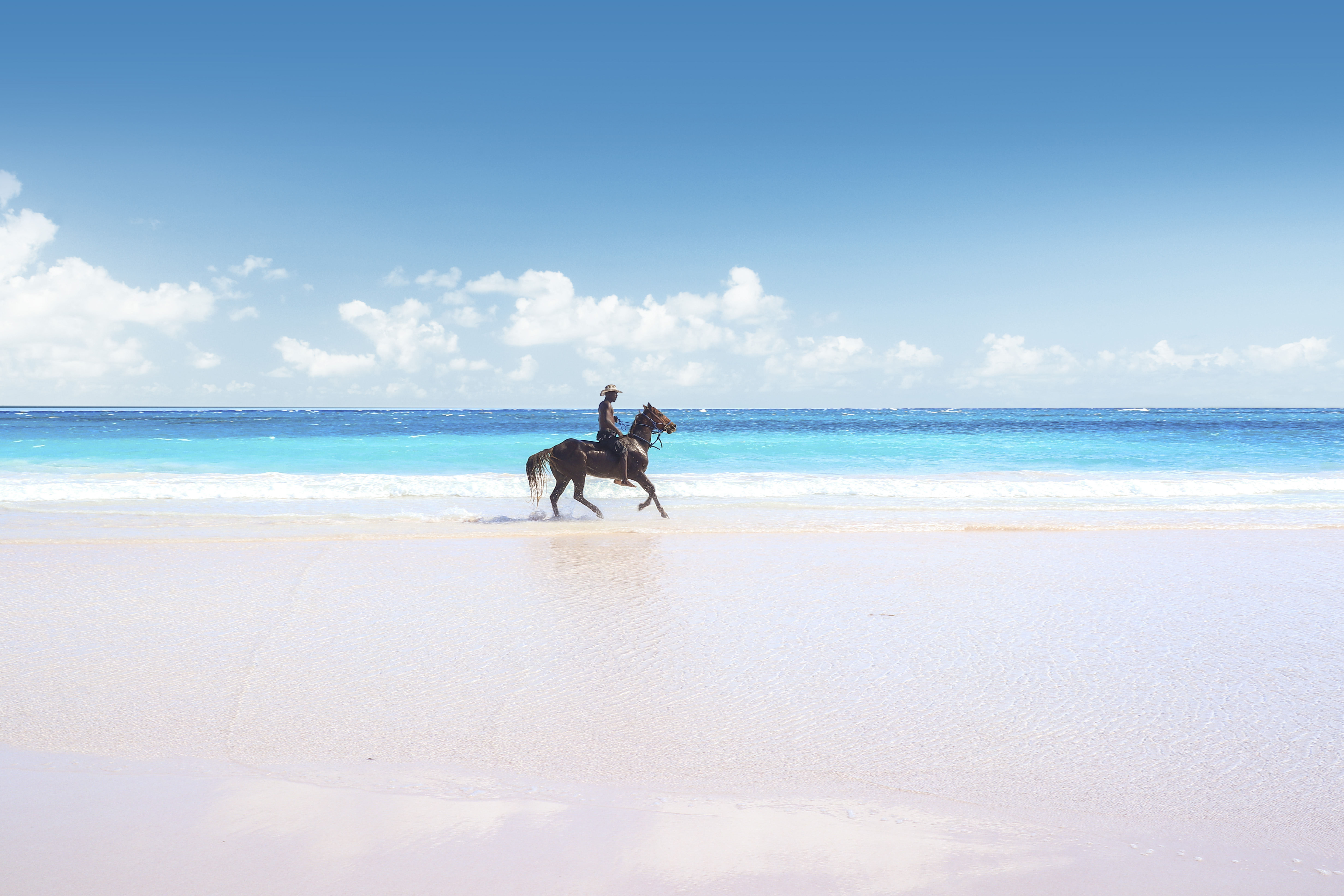 Horseback riding on Eleuthera Beach, Bahamas